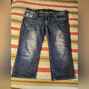 Vigoss Size 20 Capri